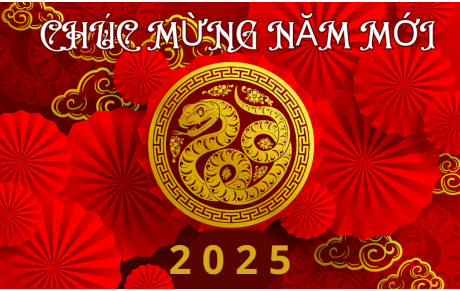 CHÚC MỪNG NĂM MỚI 2025!